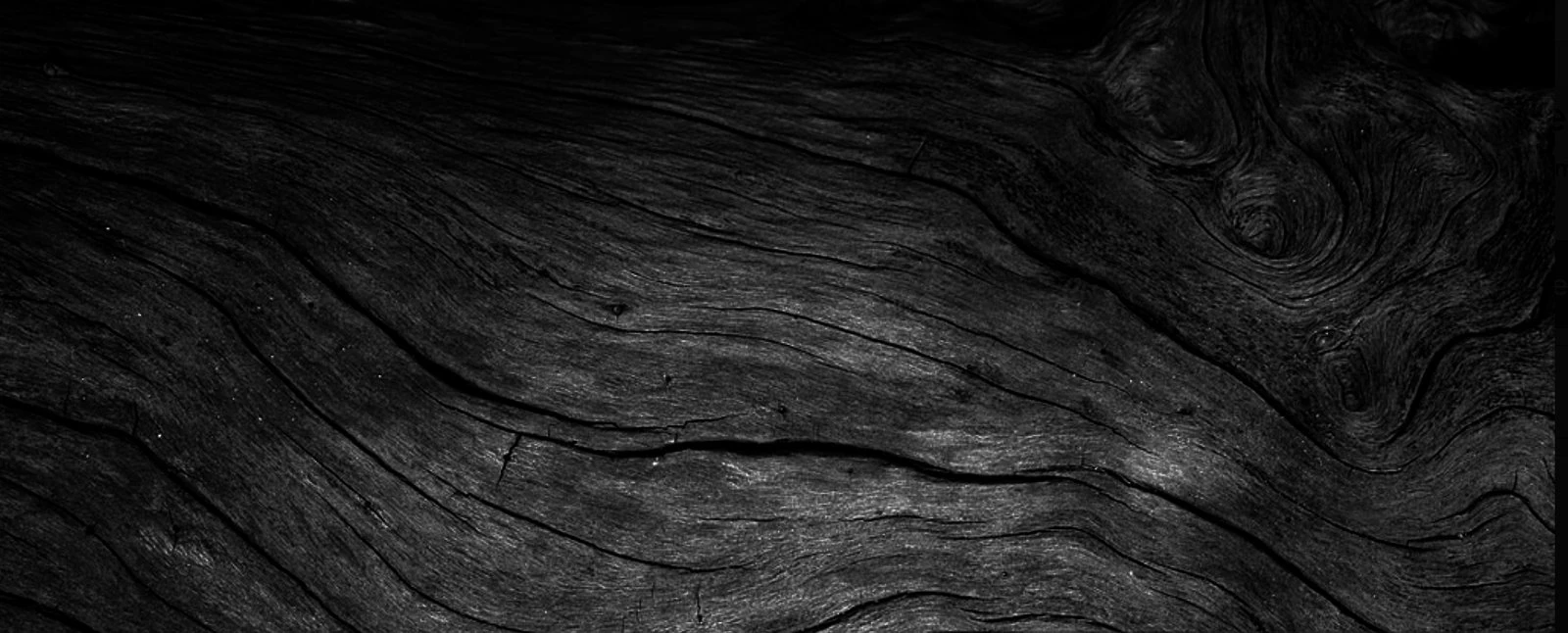 Black charred wood cladding detail on a house exterior