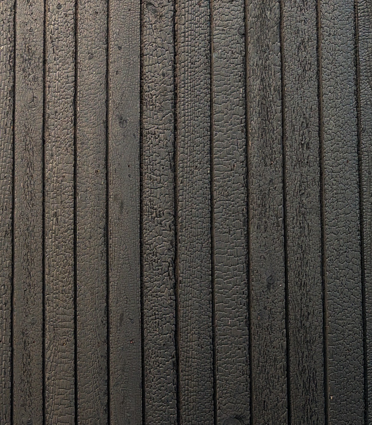 Larch Sample Set - KAEN / Larch