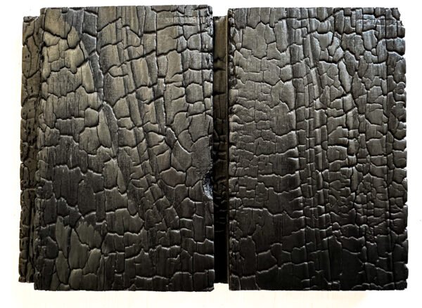 Carbon Larch